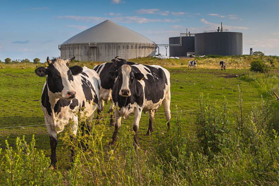 generaciÓn de energÍa biogas.metano